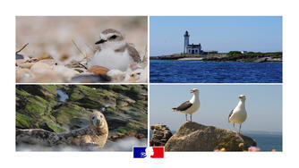 Protection de la biodiversité en Finistère - saison 2022